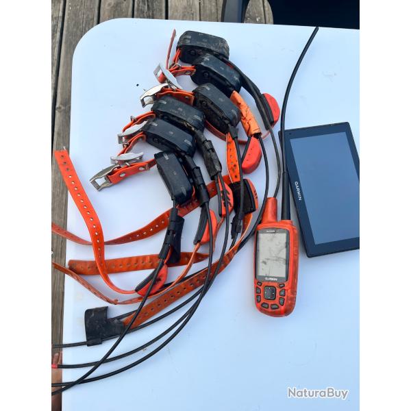 Collier GARMIN TT15mini alpha 50 + tablette GARMIN