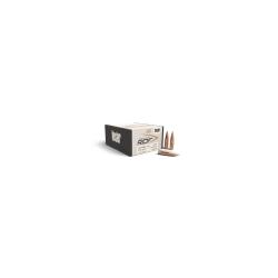Ogives Nosler Cal. 30 210 gr RDF HPBT x100