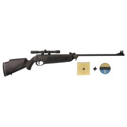 Carabines &agrave; air Cal. 4,5mm Beeman Bay Cat 16 Joules avec lunette 4x20 + plomb + cibles a saisir