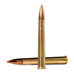 Balles Norma Tipstrike - Cal. 9.3x74 R - 255 gr / 16.5 g / Par 1