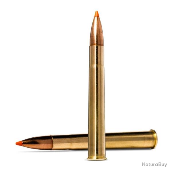Balles Norma Tipstrike - Cal. 9.3x74 R - 255 gr / 16.5 g / Par 1