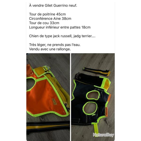 Gilet protection pour chien