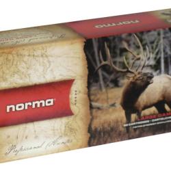 MUNITION NORMA 7X64 PPDC 170GR