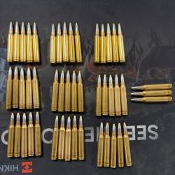 Lot 48 cartouche calibre 300win mag rws evo