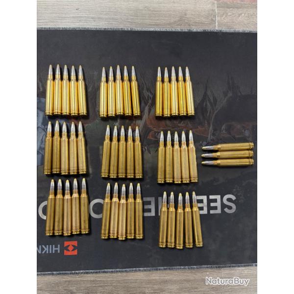 Lot 48 cartouche calibre 300win mag rws evo