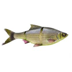 Leurre souple SAVAGE GEAR 3D LT Roach 18cm sinking Toxic roach