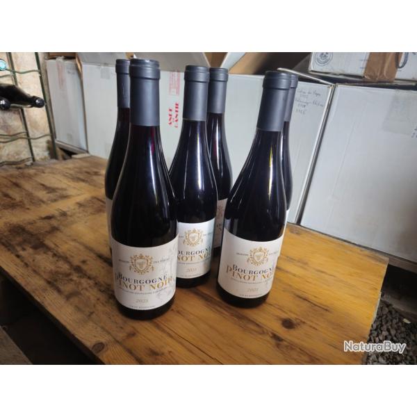 6 bouteilles de vin Bourgogne pinot noir 2023