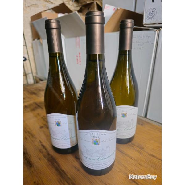 3 bouteilles de Bourgogne Chardonnay 2023