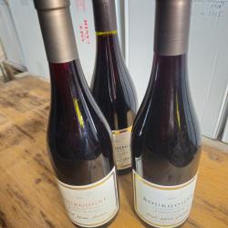3 bouteilles de Bourgogne pinot noir2019