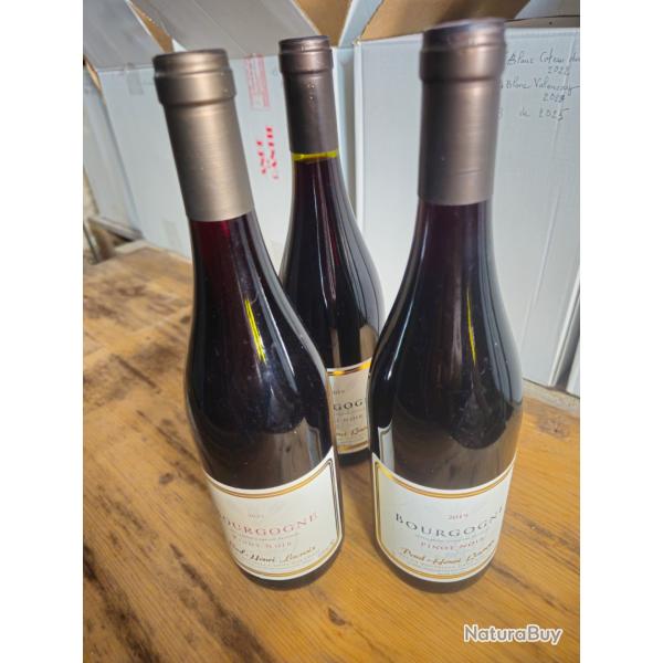 3 bouteilles de Bourgogne pinot noir2019