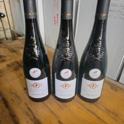 3 bouteilles Saumur rouge 2023M&eacute;daille d'argent 2024