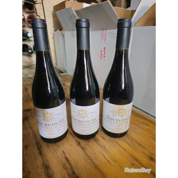 3 bouteilles Bourgogne rouge Haute c�te de beaune 2023
