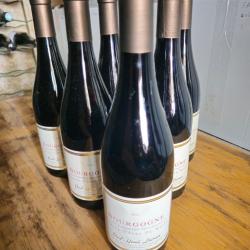 6 bouteilles de Bourgogne Hautes c&ocirc;tes de nuit rouge 2023