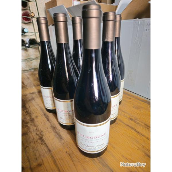 6 bouteilles de Bourgogne Hautes c�tes de nuit rouge 2023