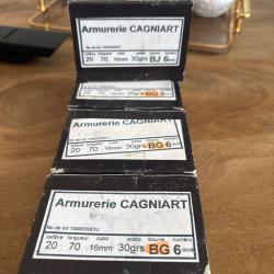 Cartouche calibre 20