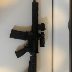 Carabine LDT15 L4S 10,5" 223 REM / 5.56
