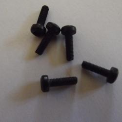 1 � A SAISIR - 5 vis t&ecirc;te ronde empreinte Torx brunies M3 x 10 mm