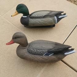 Canard en plastique forme