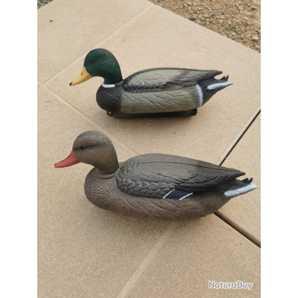 Canard en plastique forme