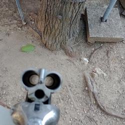 carabine de chasse drillings