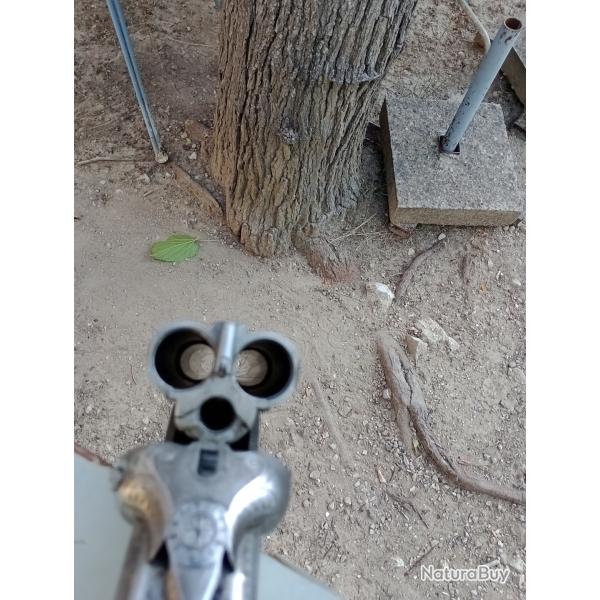 carabine de chasse drillings
