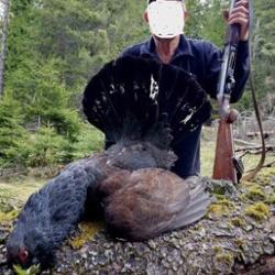 Capercaillie hunting in Bulgaria