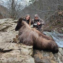 Himalayan Tahr hunting in Bulgaria