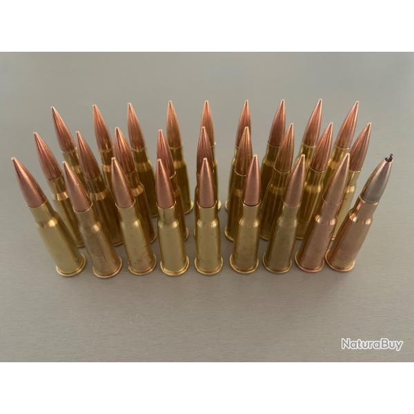 27 munitions 8mm Lebel