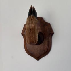 pattes de biche sur &eacute;cusson