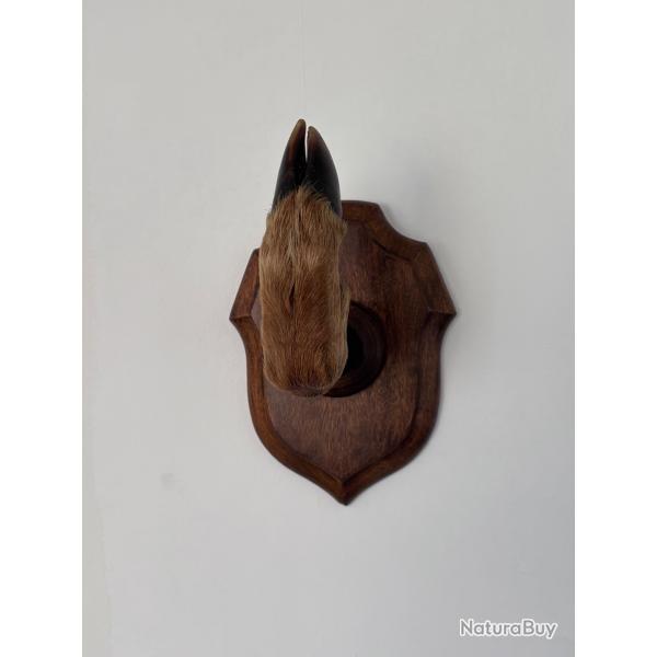 pattes de biche sur �cusson
