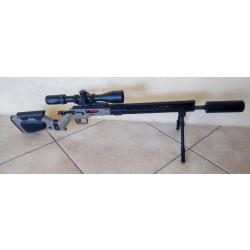 HERA ARMS H6 222 REM
