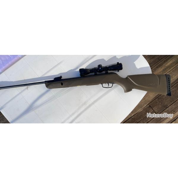 Carabine � plombs 20 joules Gamo Big Cat