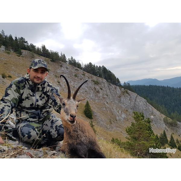 Package price for Balkan chamois hunt in Bulgaria season 2026