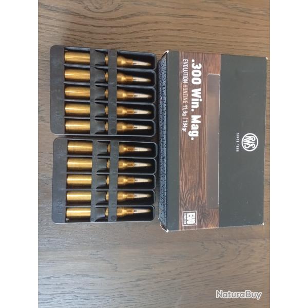 Munitions RWS