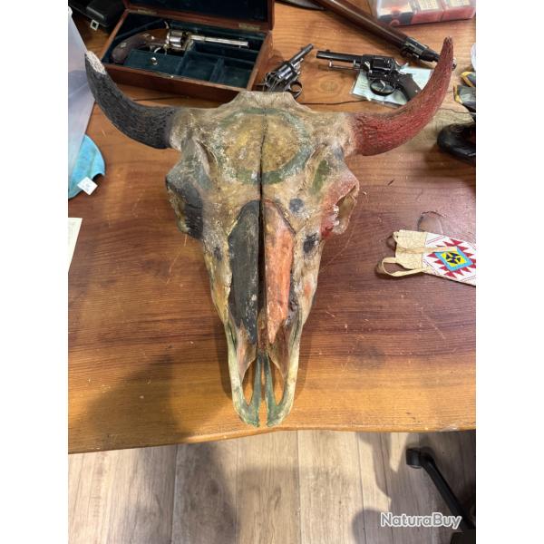 cr�ne de vache  d�coration indiens am�rindien.