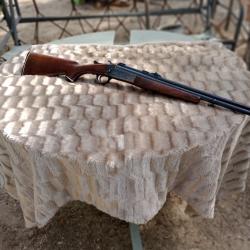 carabine superpos&eacute; calibre 410-22 magnum
