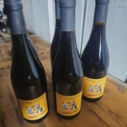 5 bouteilles de vin rouge saint Nicolas de bourgueil La barrique des copains 2021