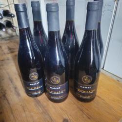 6 bouteilles de vin rouge gamayTouraine
