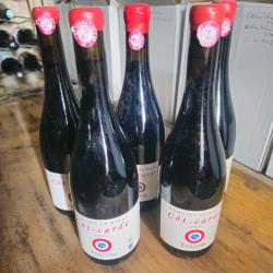 5 bouteilles de vin rouge Cot carde 2021