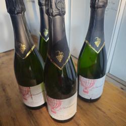 4 bouteilles de brut De Touraine