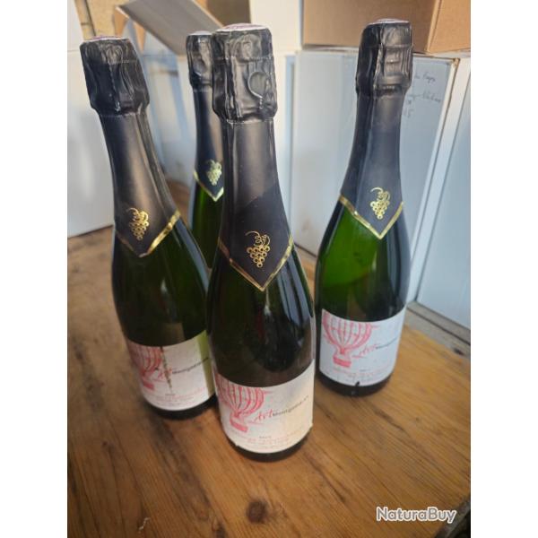 4 bouteilles de brut De Touraine