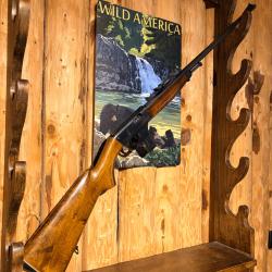 ENCHERES 1� - CARABINE SEMI-AUTOMATIQUE UNIQUE MODELE X51 - 22LR