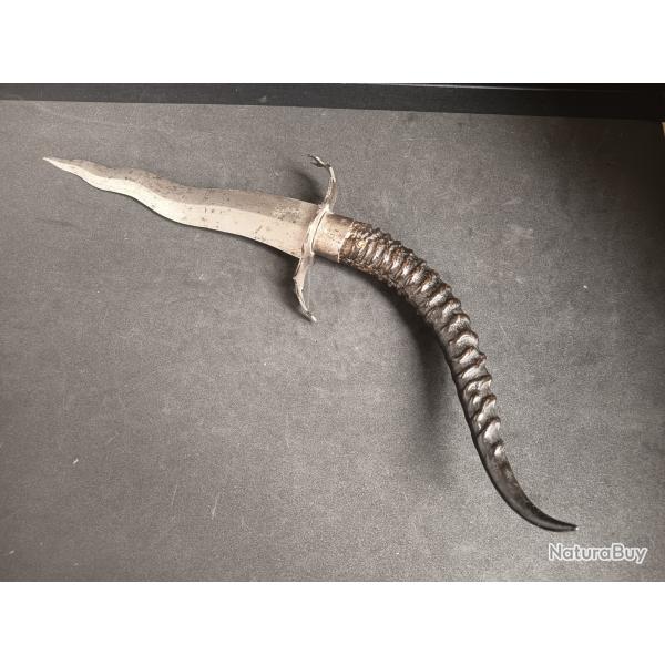 Daga africana