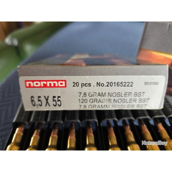 Munitions calibre 6.5x55 se Norma - Nosler BST 120 Gr - 7.8 g