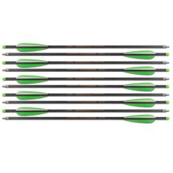 Pack de 10 Fl&egrave;ches Carbone de 20 pouces