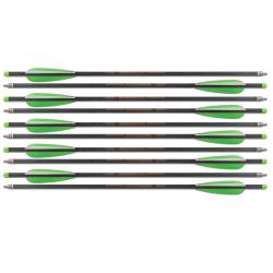 Pack de 10 Fl&egrave;ches Carbone de 20 pouces