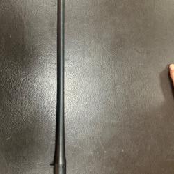 Canon blaser R8 30-06
