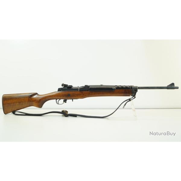 carabine ruger mini 14 222rem
