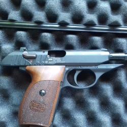 22lr ruger P77