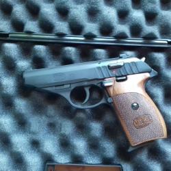 22lr ruger HSr
